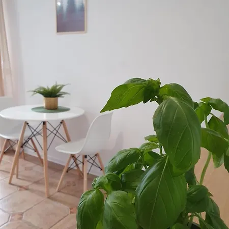 Studio Zubrowa - Gdansk *