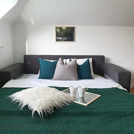 Studio Zubrowa - Gdansk Appartement