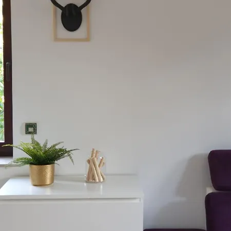 公寓 Studio Zubrowa - Gdansk 格但斯克
