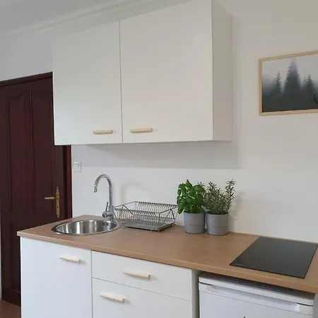 Studio Zubrowa - Gdansk Apartment Danzig