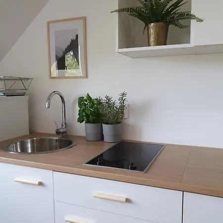Apartment Studio Zubrowa - Gdansk Danzig