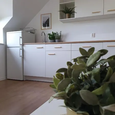 Apartment Studio Zubrowa - Gdansk