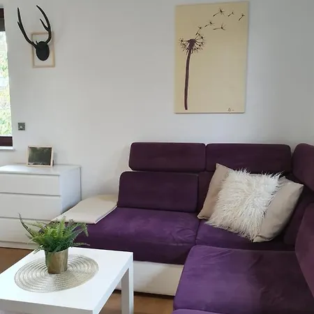 Studio Zubrowa - Gdansk *