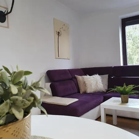 Studio Zubrowa - Gdansk * 格但斯克